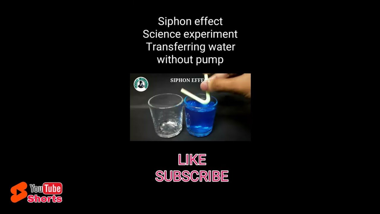 science experiments | siphon effect