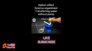 science experiments | siphon effect