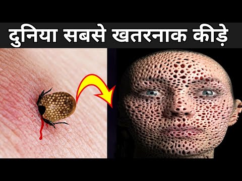 वीडियो: बच्चे और पालतू जानवर: साथ रहने के लिए 7 टिप्स