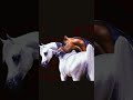 أنت ترياقي