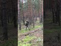 …в мире не спокойно…