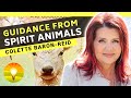 🌟You'll Never Look at Animals the Same Way Again! Animal Symbolism | COLETTE BARON REID