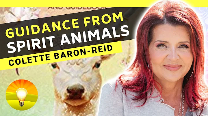 You'll Never Look at Animals the Same Way Again! Animal Symbolism | COLETTE BARON REID