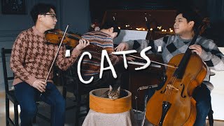 Memory 'Cats' (Violin,Cello&Piano Cover) - Layers 레이어스 클래식 / 캣츠