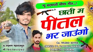 Instagram Trending Song 2025 🤟छाती म पीतल भर जाउंगो ✌️chhati m pital bhar jaungo !! jalam Baiplawat