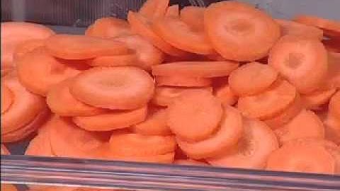 Hobart FP250 5/32" Slicer Plate Slicing Carrots