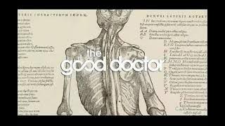 THE GOOD DOCTOR SEASON 5 OPENING CREDITS (#ABC)
