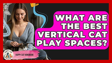 What Are The Best Vertical Cat Play Spaces? - Happy Cat Handbook