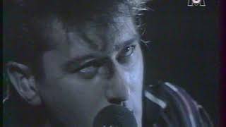 Alain Bashung - Cest Comment Quon Freine