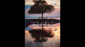 (والله يريد أن يتوب عليكم)#قران_كريم#ياسر_الدوسري#سورة_النساء