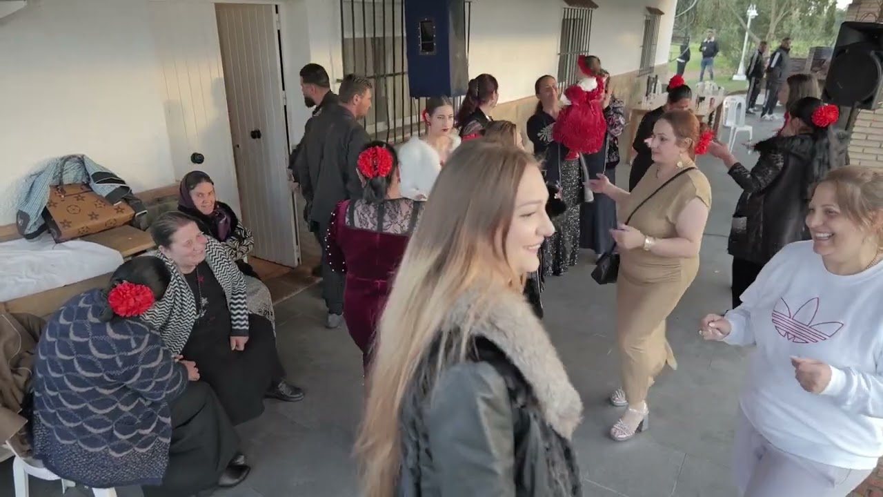 cana Nunta Nicolas si Andreea in Lepe 4 martie 2025 cu Stefan si Narcis de la Barbulesti