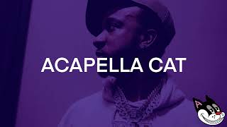 Benny the Butcher - Billy Joe Acapella 73 BPM - 4K Acapella Cat
