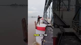Why They Catch Floating Logs In The River shorts