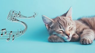 Purrfect Serenity: Calming Music for Stressed Cats