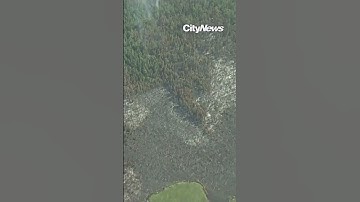 Kawartha Lakes wildfires blaze 