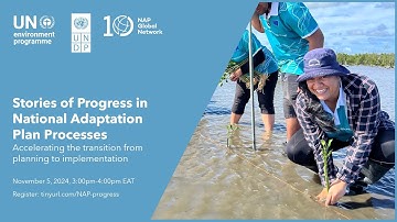 Stories of Progress in NAP Processes: Accelerating the transition from planning to implementation