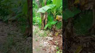 mn đi lượm bằng với em nhe