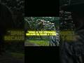 "The strongest one 🗿"- Indominus rex edit | Surya_Edit07 | #shorts#viralshorts
