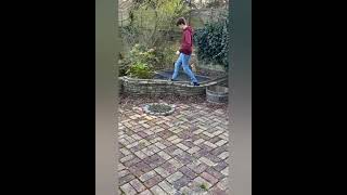 Tom Holland, Harry Holland Y Harrison Osterfield A Por Las Gallinas