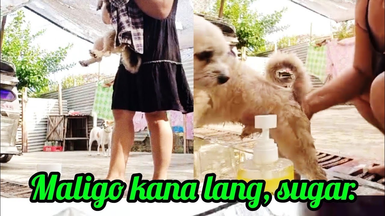 Maligo kana lang, sugar. @Pinoykatvofficial 