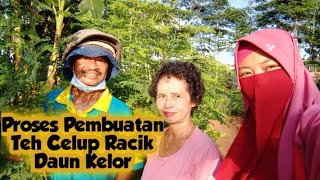 Proses Pembuatan Teh Celup Daun Kelor Racik || Hafidz Adipala Cilacap