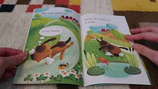 The Greedy Dog : USBORNE first reading Level 1