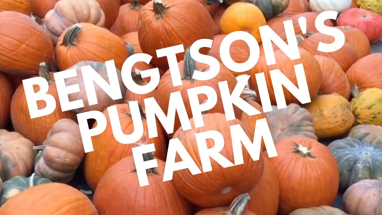 Bengtson's pumpkin farm Homer Glen IL YouTube