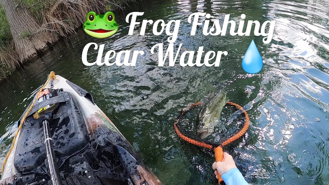 Kayak Bass Fishing- Froggin Clear **Texas** Water!! New Swimbait Sneak peek..