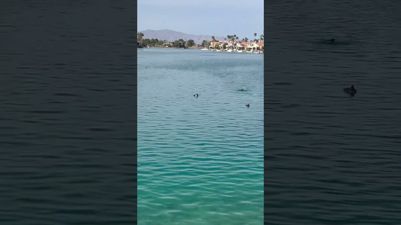 Lake Sahara Las Vegas