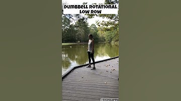 Dumbbell Rotational Low Row Video Demo