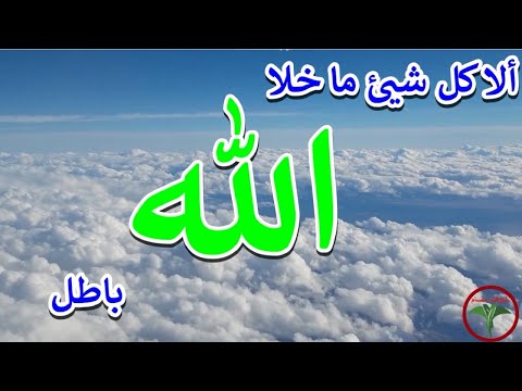 روائع الابتهالات الا كل شيئ ما خلا الله باطل ابتهال الشيخ سيد النقشبندى 2022
