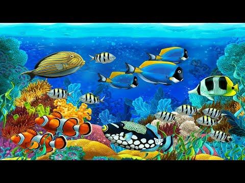 Fish Whatsapp status with relaxing music,Relaxing music,Nature video with relax music