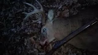 Whitetail Hunting with Traditional Muzzle Loader. by Primitive Preacher 10,962 views 3 years ago 11 minutes, 11 seconds