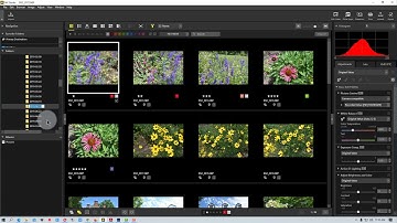 Nikon NX Studio - How to Create and Use Albums in NX Studio