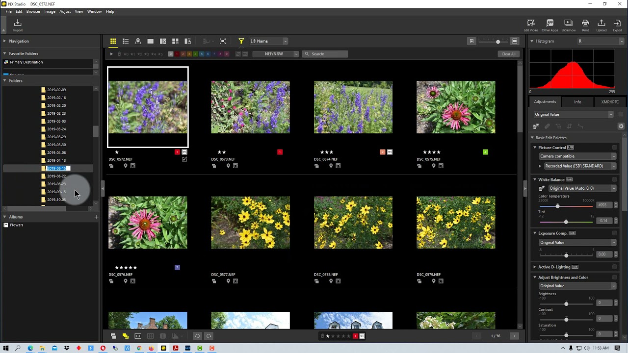 Nikon NX Studio How to Create and Use Albums in NX Studio YouTube