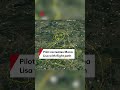 Pilot recreates Mona Lisa with flight path