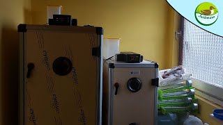 Présentation De Ma Nouvelle Couveuse 700 Œufs