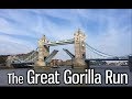 The Great Gorilla Run