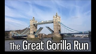 The Great Gorilla Run