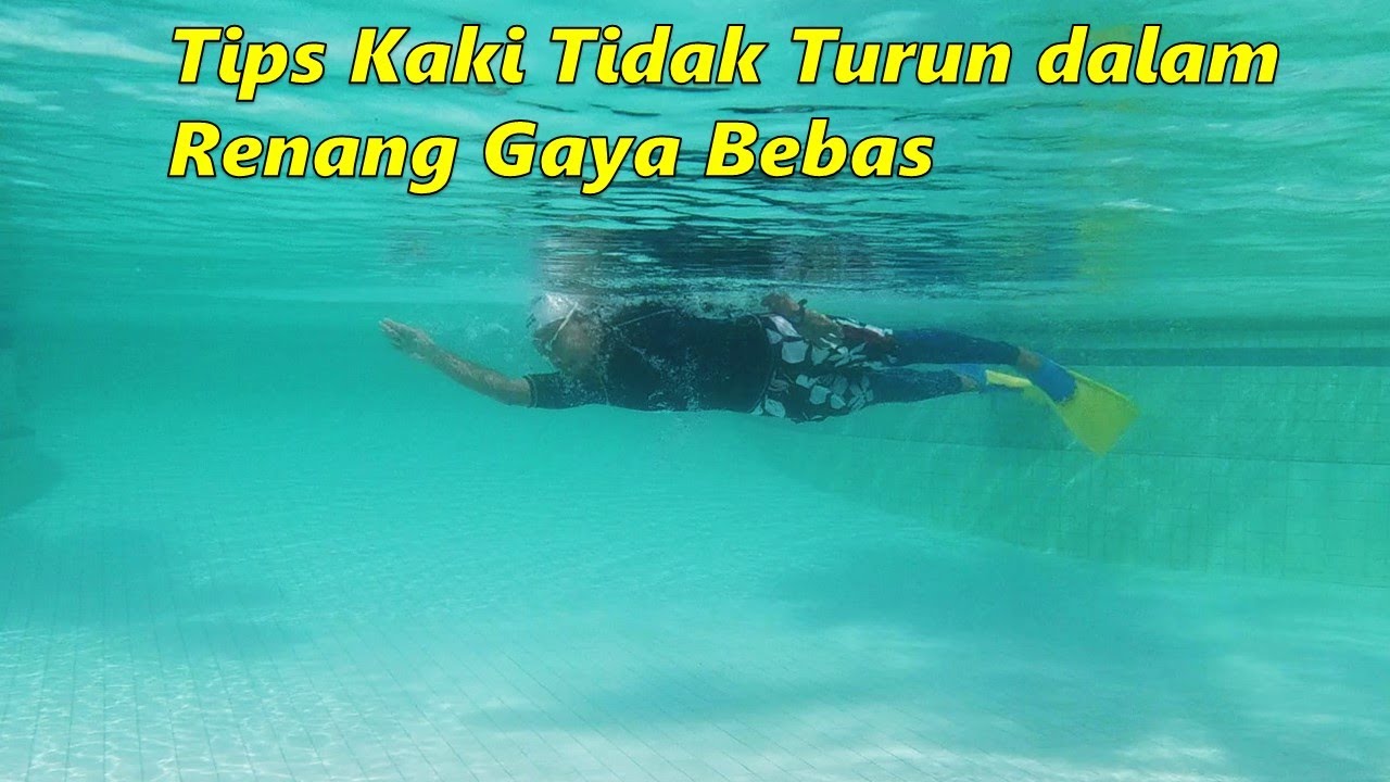 Tidak cepat lelah dan menjaga kaki lurus dalam renang gaya bebas (bagian 2)