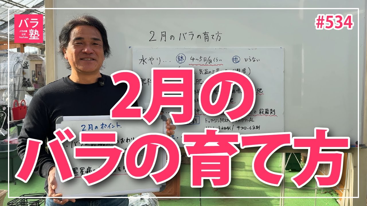 #534 2月のバラのお手入れ【バラの育て方：2月】