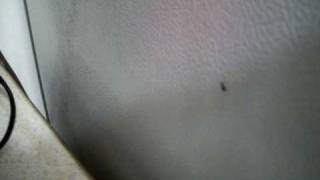 102_0194.mov
