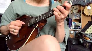 4-string mandolin or mandolele tuned in 5ths!?