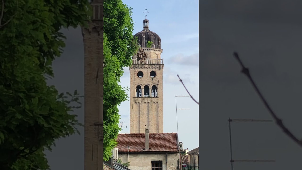 Campane del Duomo di Conegliano - PASQUA 2025