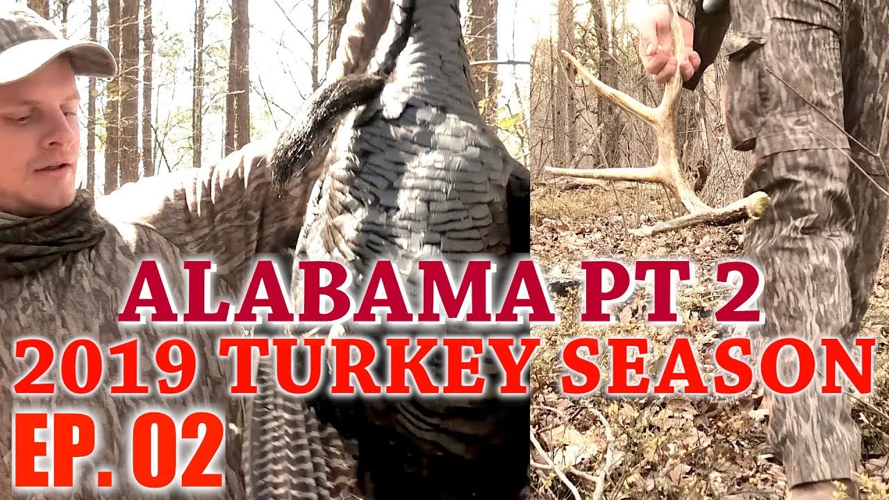 Alabama Turkey Hunting, Part 2 2019 Turkey Season Ep. 02 YouTube