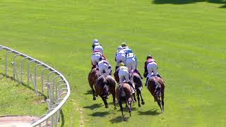 Vidéo de la course PMU PRIX DE PIMLICO