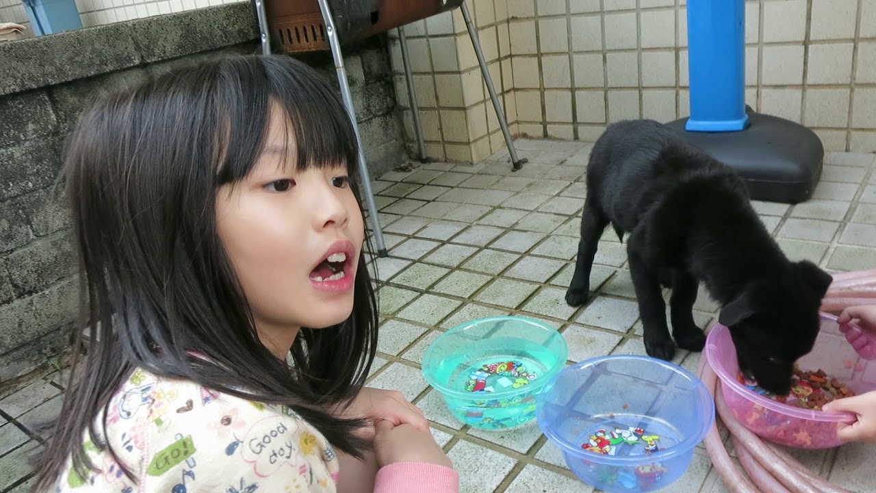 寶貝日記(第一次餵小狗)養狗日記 MVI 9383