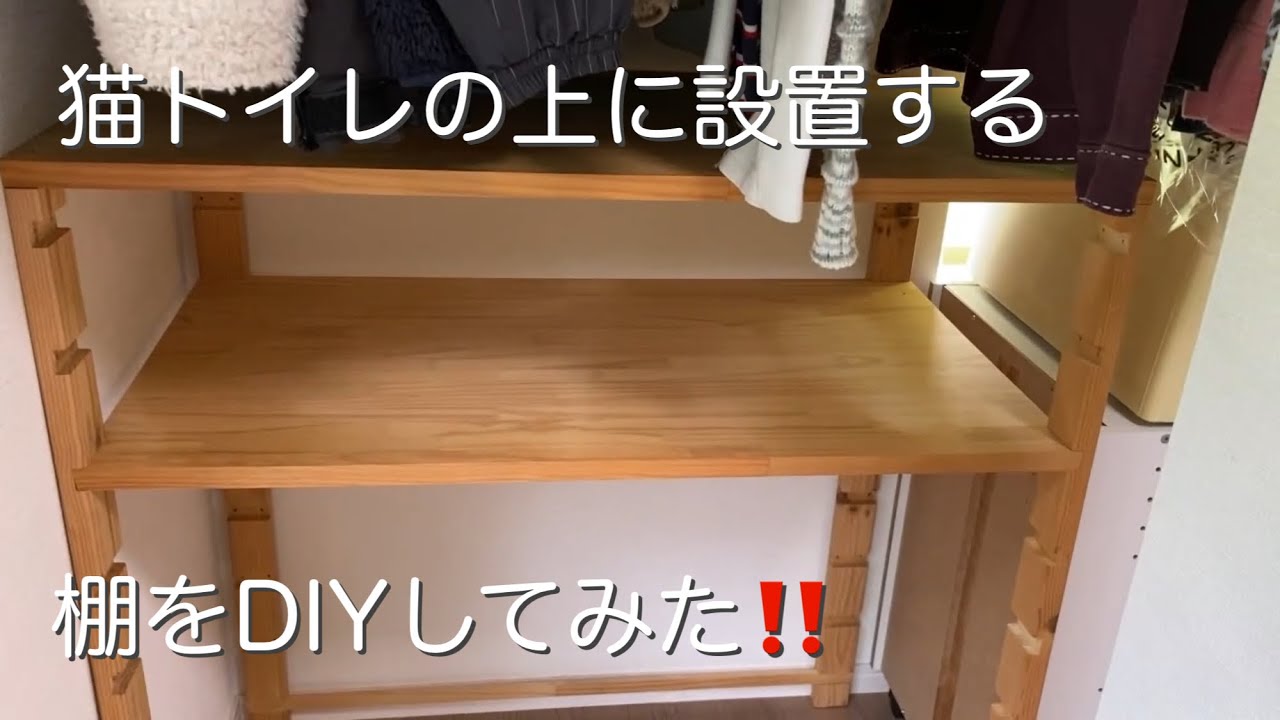猫トイレの上に設置する棚をDIYしてみた‼️ YouTube