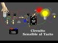 How to Create a Touch Sensitive Circuit (Animation)