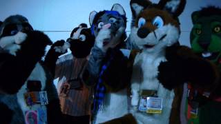 Hangover Ft. Furries